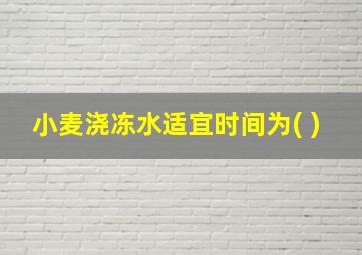 小麦浇冻水适宜时间为( )